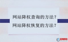 網(wǎng)站降權查詢以及快速恢復的方法匯總!