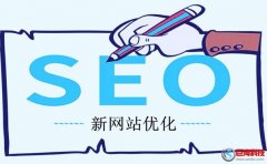 淮南seo賽雷猴:企業(yè)為什么需要做網站優(yōu)化?